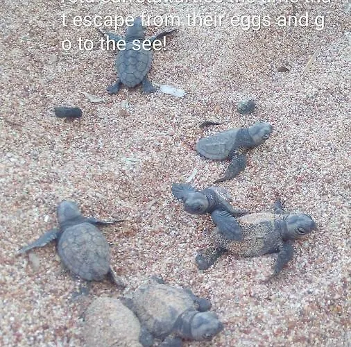 Casa de Férias Aiolos *